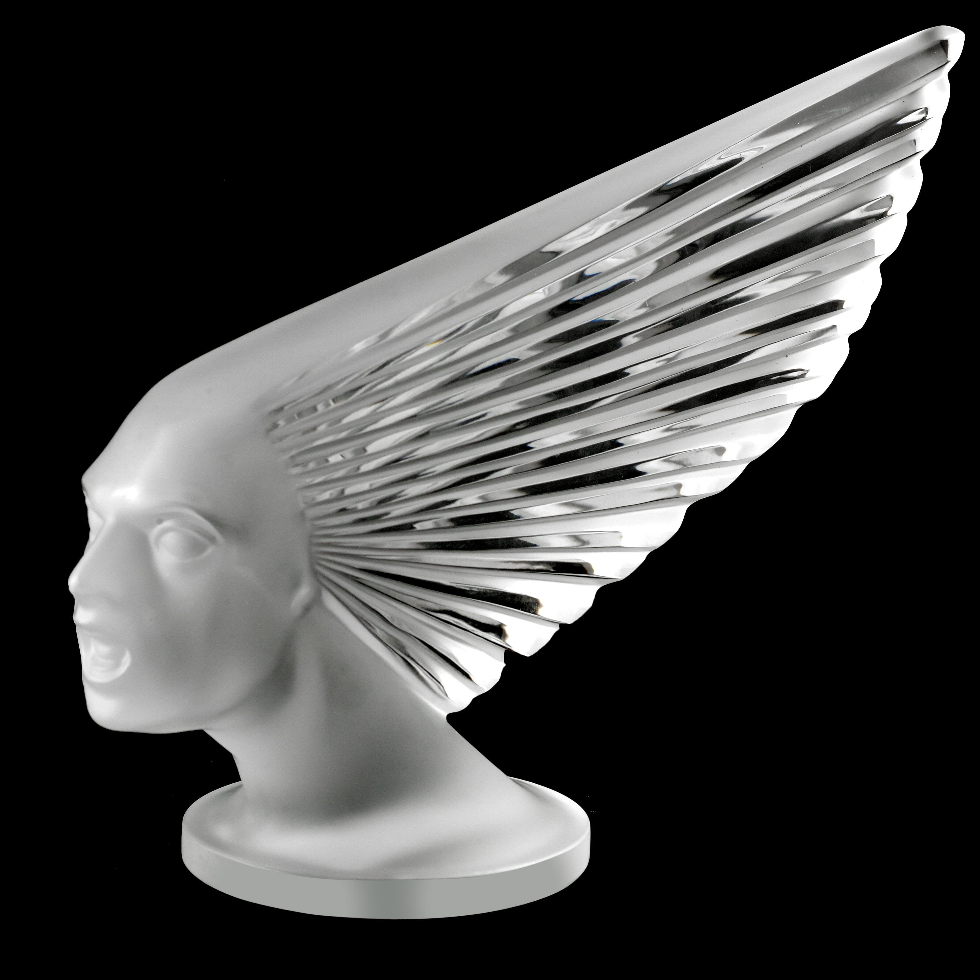 P4LALIQUEVICTOIRE_2.jpg?w=200